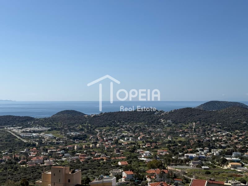 Building Plot in Elaionas, Anavissos — Photo 2 of 14