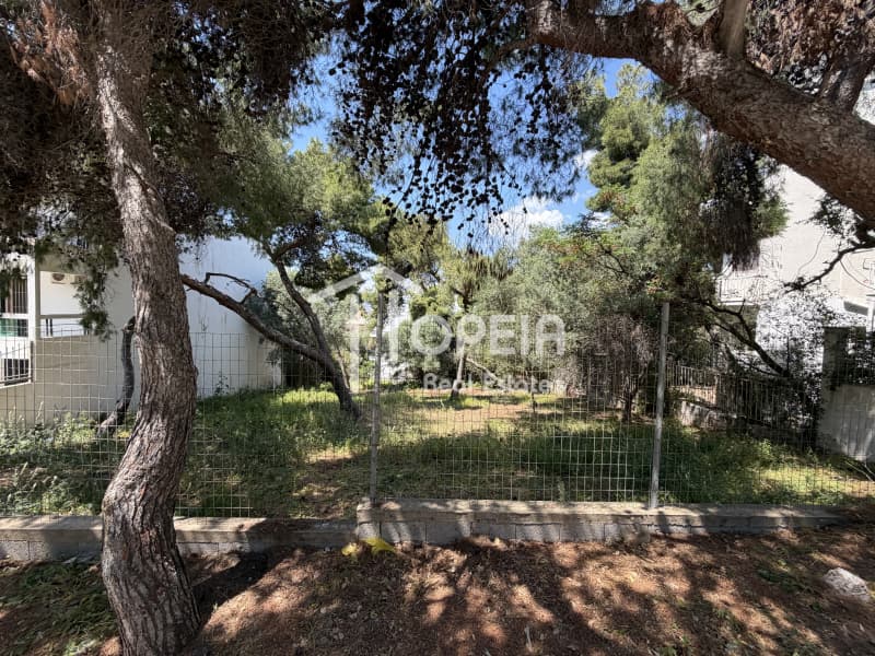 Οικόπεδο στην Σαρωνίδα, Σαρωνίδα — Φωτογραφία 4 από 5