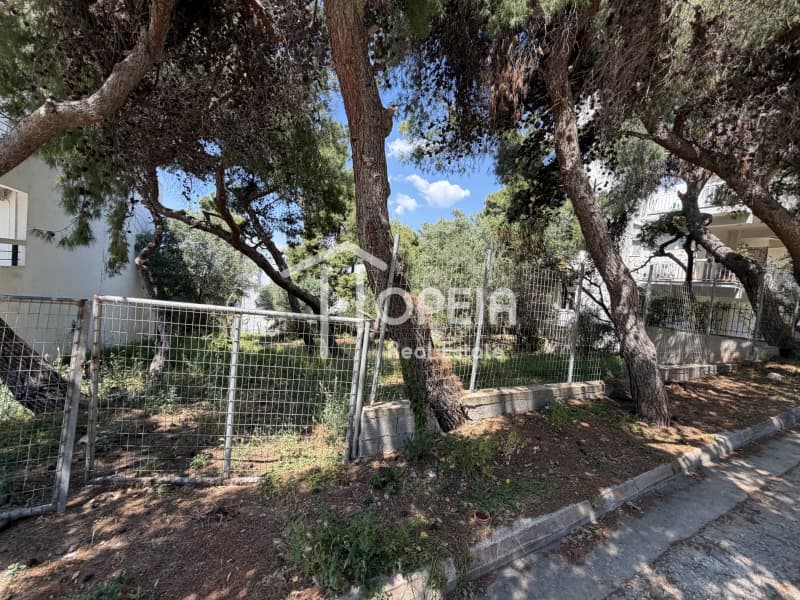Οικόπεδο στην Σαρωνίδα, Σαρωνίδα — Φωτογραφία 3 από 5