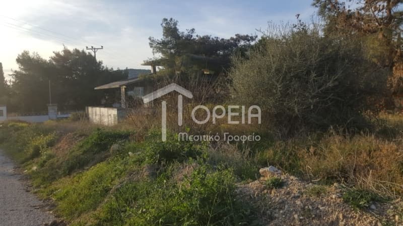 House in Galazia akti, Kalivia Thorikou — Photo 7 of 7
