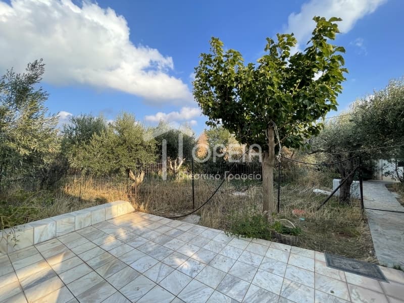 Μονοκατοικία στην Ελαιώνας, Ανάβυσσος — Φωτογραφία 21 από 30
