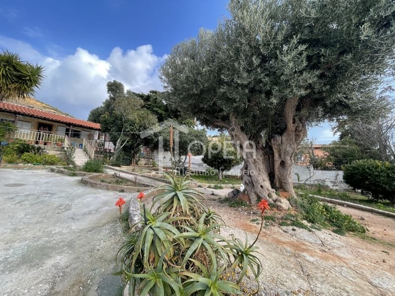 Μονοκατοικία στην Συντερίνα, Ανάβυσσος — Φωτογραφία 2 από 23