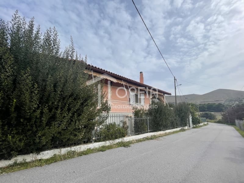 Μονοκατοικία στην Συντερίνα, Ανάβυσσος — Φωτογραφία 19 από 30