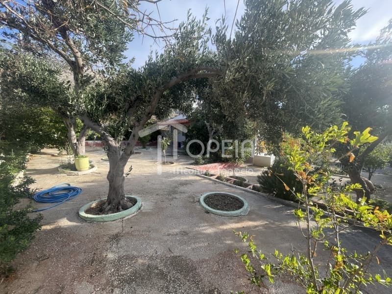 Μονοκατοικία στην Καλύβια, Καλύβια Θορικού — Φωτογραφία 18 από 30
