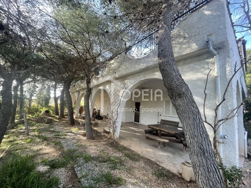 House in Alikes - Lakka, Anavissos — Photo 12 of 30