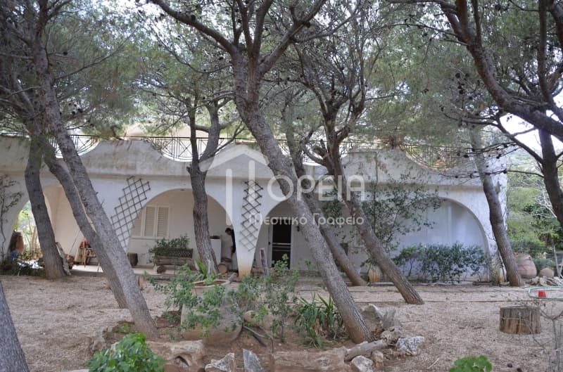 House in Alikes - Lakka, Anavissos — Photo 6 of 30