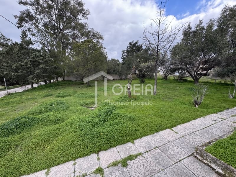 House in Mavro Lithari, Saronida — Photo 28 of 30