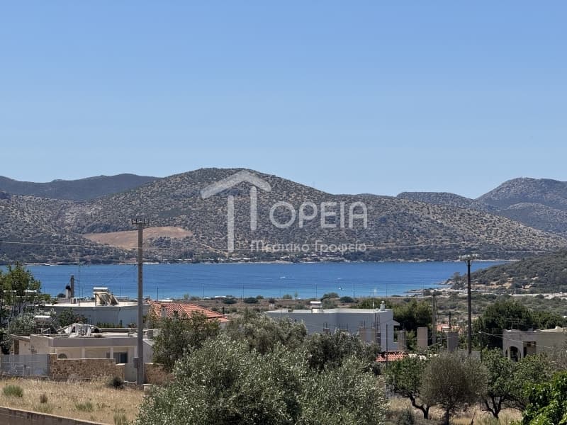 House in Alikes - Lakka, Anavissos — Photo 2 of 30