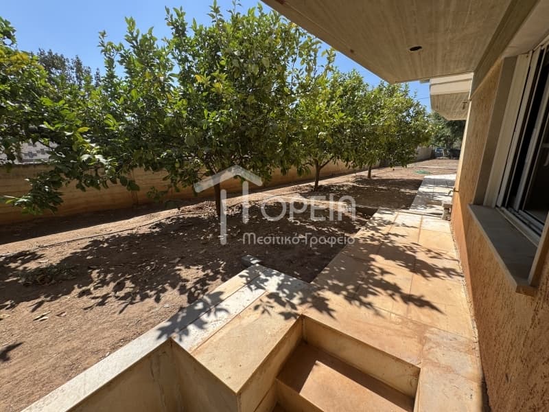 House in Kato Poseidonia, Lavrio — Photo 20 of 30