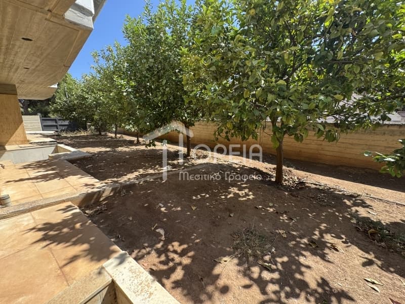 House in Kato Poseidonia, Lavrio — Photo 3 of 30