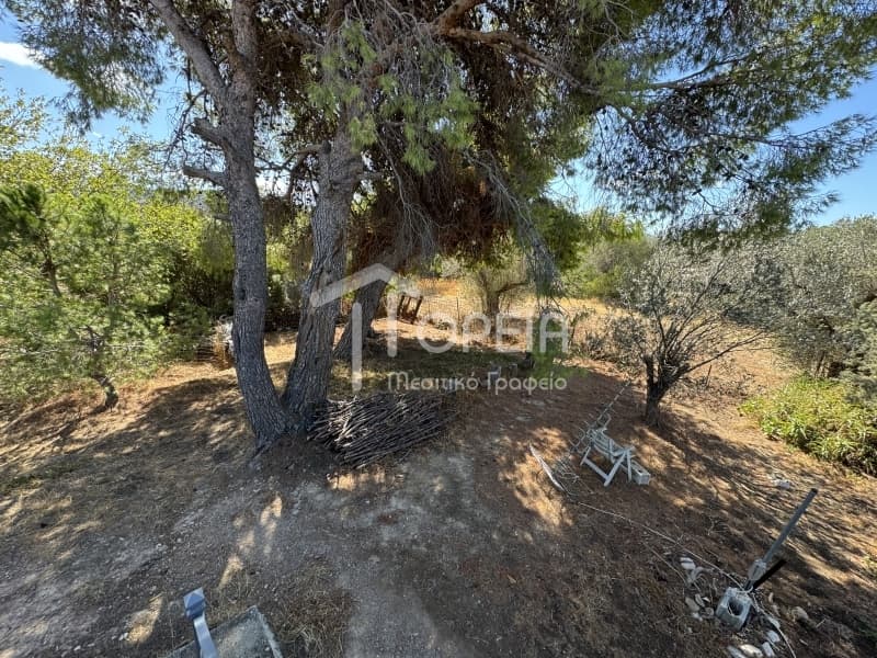 Μονοκατοικία στην Αρί, Ανάβυσσος — Φωτογραφία 15 από 24