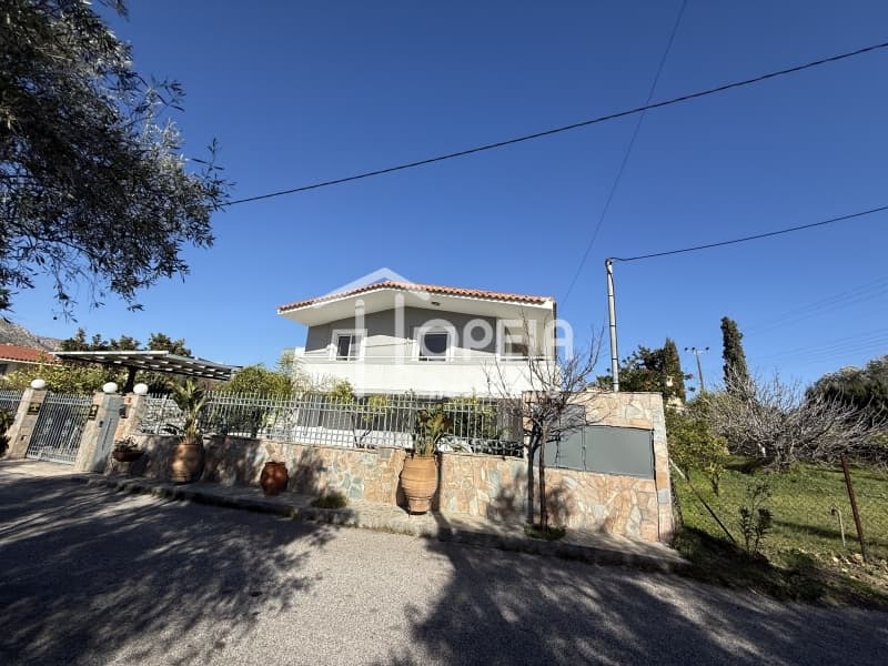 Μονοκατοικία στην Ανάβυσσος Κέντρο, Ανάβυσσος — Φωτογραφία 24 από 27