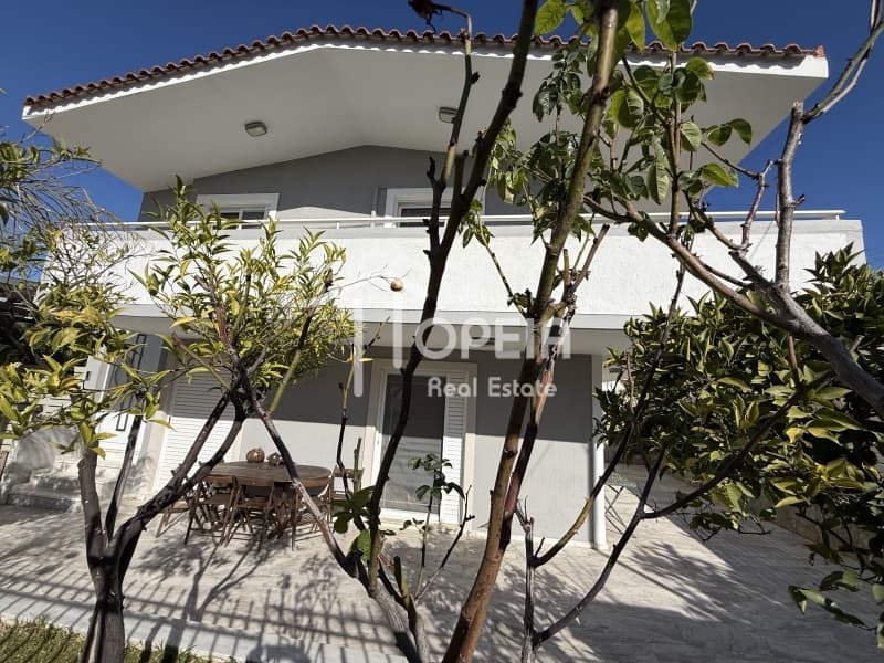 Μονοκατοικία στην Ανάβυσσος Κέντρο, Ανάβυσσος — Φωτογραφία 22 από 27
