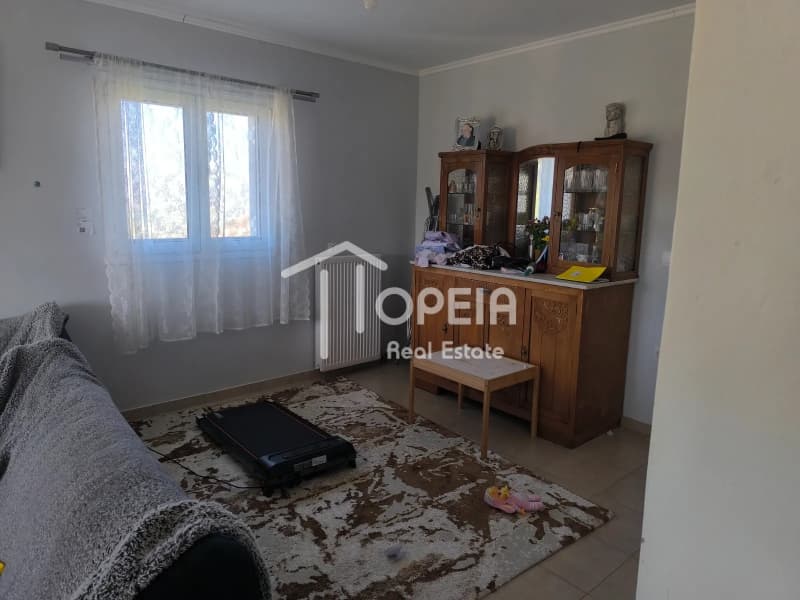 Μονοκατοικία στην Συντερίνα, Ανάβυσσος — Φωτογραφία 3 από 16