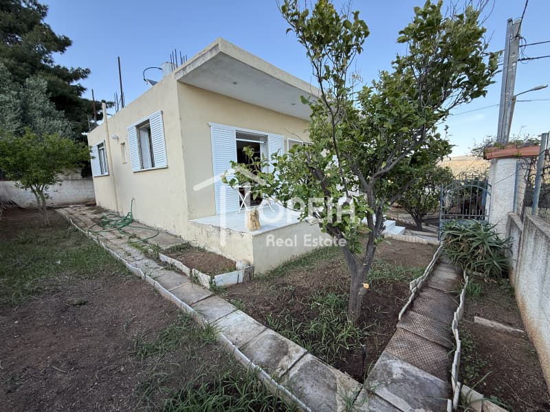House in Agios Panteleimonas, Anavissos — Photo 25 of 29