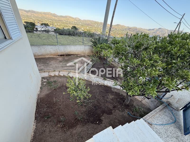 House in Agios Panteleimonas, Anavissos — Photo 3 of 29