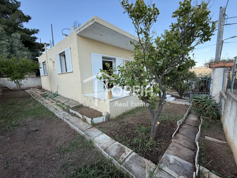 House in Agios Panteleimonas, Anavissos — Photo 5 of 29