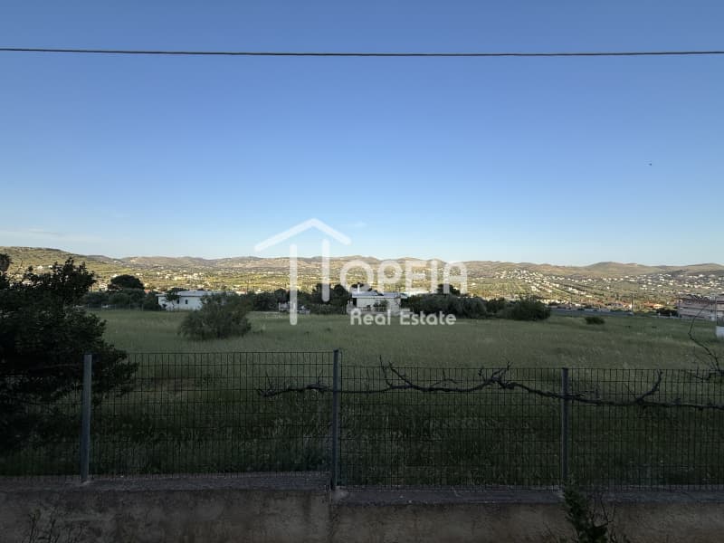 House in Agios Panteleimonas, Anavissos — Photo 29 of 29