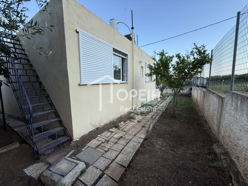 House in Agios Panteleimonas, Anavissos — Photo 13 of 29