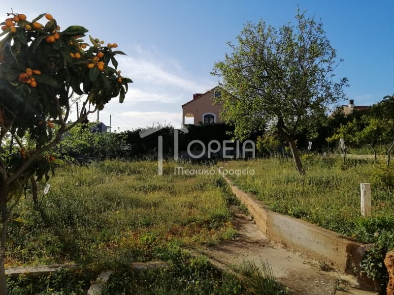 House in Kalivia, Kalivia Thorikou — Photo 6 of 30