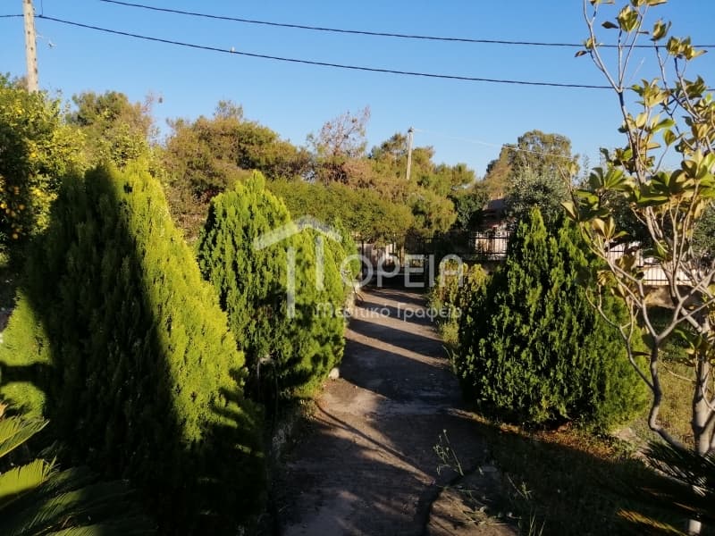House in Kalivia, Kalivia Thorikou — Photo 9 of 30