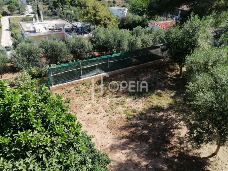 House in Agia Marina, Koropi — Photo 7 of 30