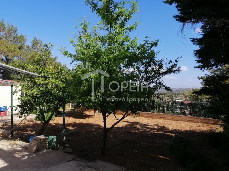 House in Agia Marina, Koropi — Photo 4 of 30