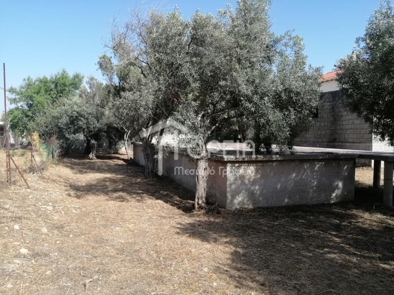 Οικόπεδο στην Καλύβια, Καλύβια Θορικού — Φωτογραφία 3 από 9