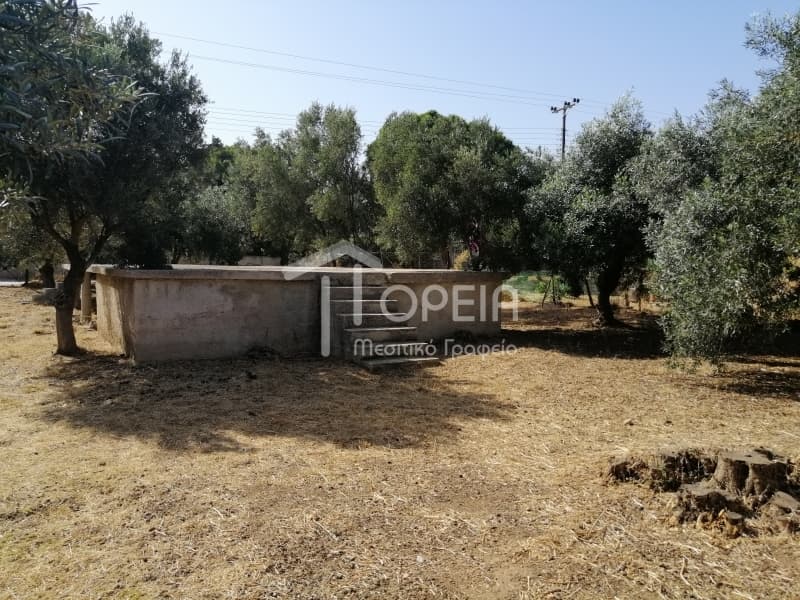 Οικόπεδο στην Καλύβια, Καλύβια Θορικού — Φωτογραφία 5 από 9