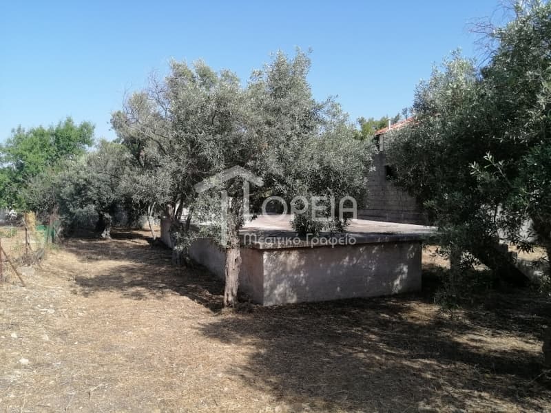 Οικόπεδο στην Καλύβια, Καλύβια Θορικού — Φωτογραφία 9 από 9