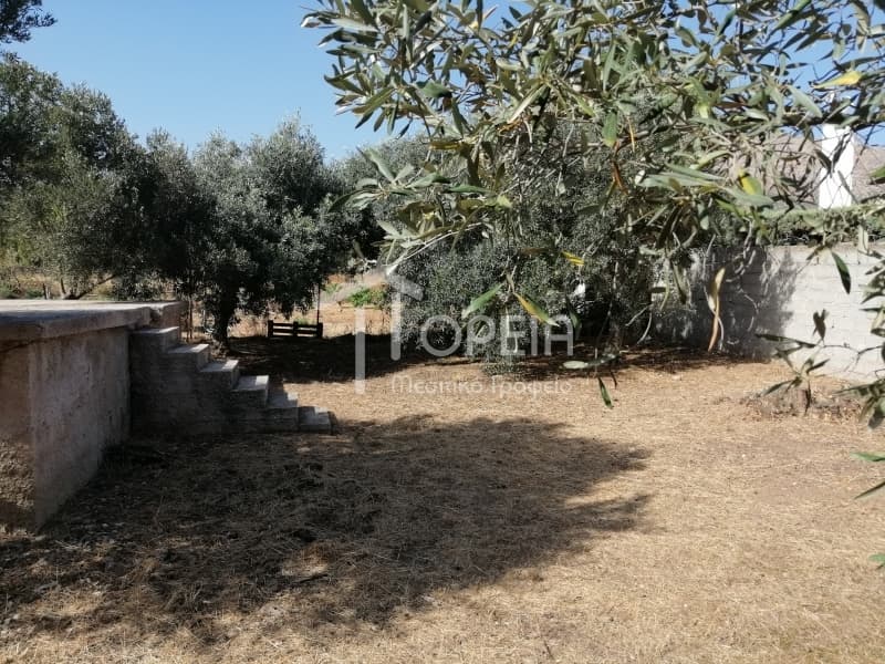 Οικόπεδο στην Καλύβια, Καλύβια Θορικού — Φωτογραφία 4 από 9