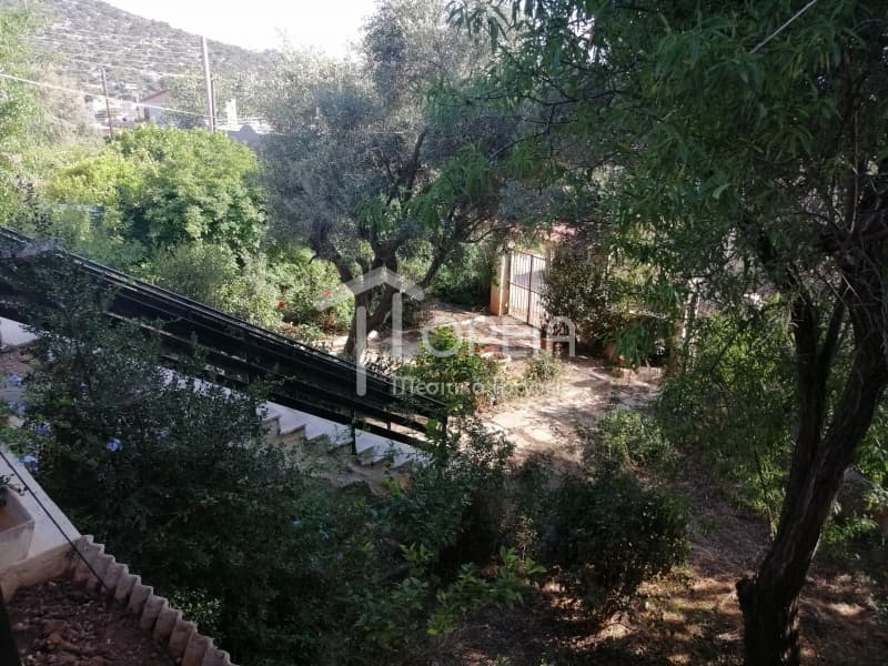 House in Galazia akti, Kalivia Thorikou — Photo 15 of 17