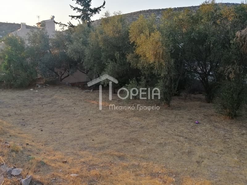 Οικόπεδο στην Γαλάζια ακτή, Καλύβια Θορικού — Φωτογραφία 2 από 7