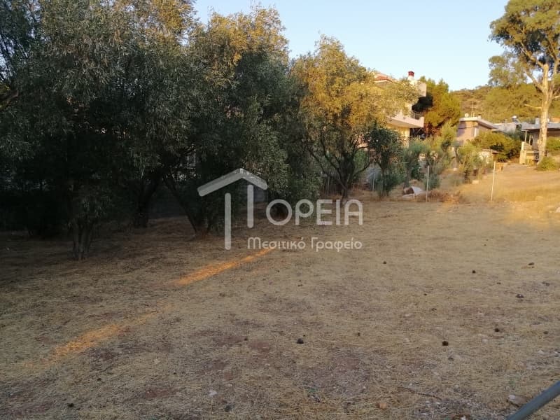 Οικόπεδο στην Γαλάζια ακτή, Καλύβια Θορικού — Φωτογραφία 5 από 7