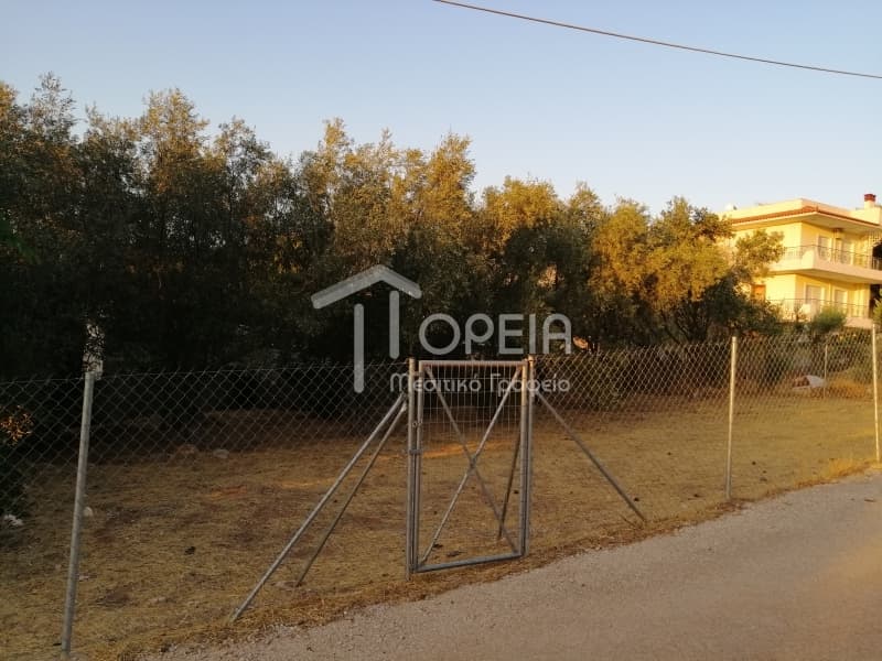 Οικόπεδο στην Γαλάζια ακτή, Καλύβια Θορικού — Φωτογραφία 1 από 7