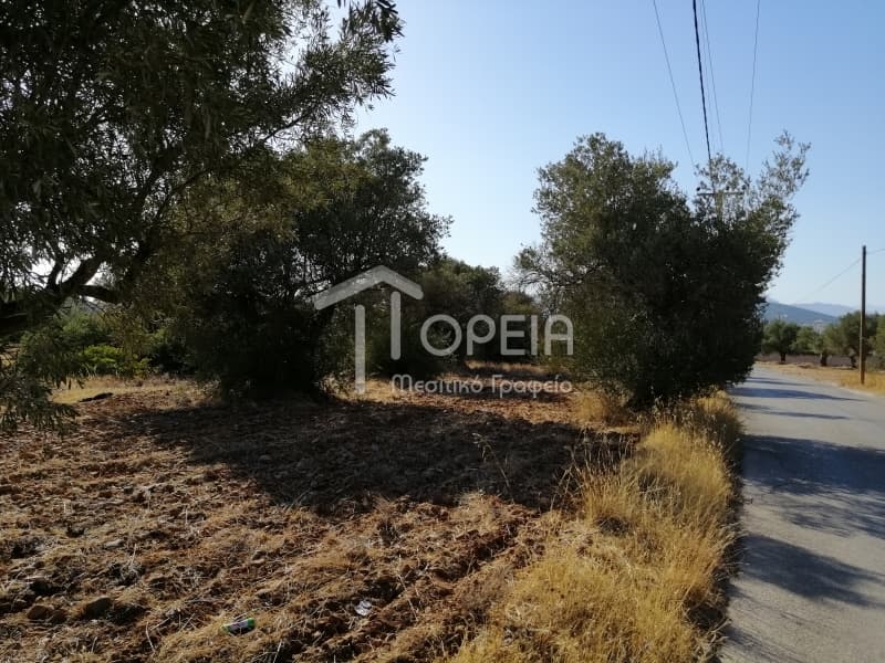 Οικόπεδο στην Κέντρο, Καλύβια Θορικού — Φωτογραφία 5 από 7