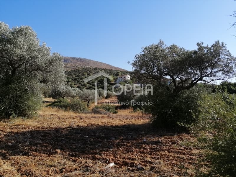 Οικόπεδο στην Κέντρο, Καλύβια Θορικού — Φωτογραφία 1 από 7
