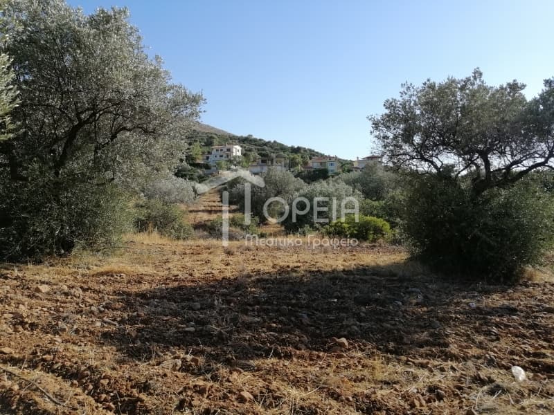 Οικόπεδο στην Κέντρο, Καλύβια Θορικού — Φωτογραφία 4 από 7