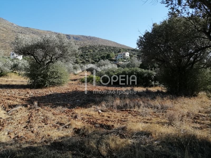 Οικόπεδο στην Κέντρο, Καλύβια Θορικού — Φωτογραφία 2 από 7