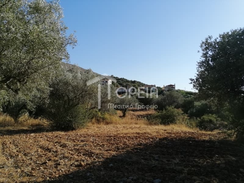 Οικόπεδο στην Κέντρο, Καλύβια Θορικού — Φωτογραφία 7 από 7