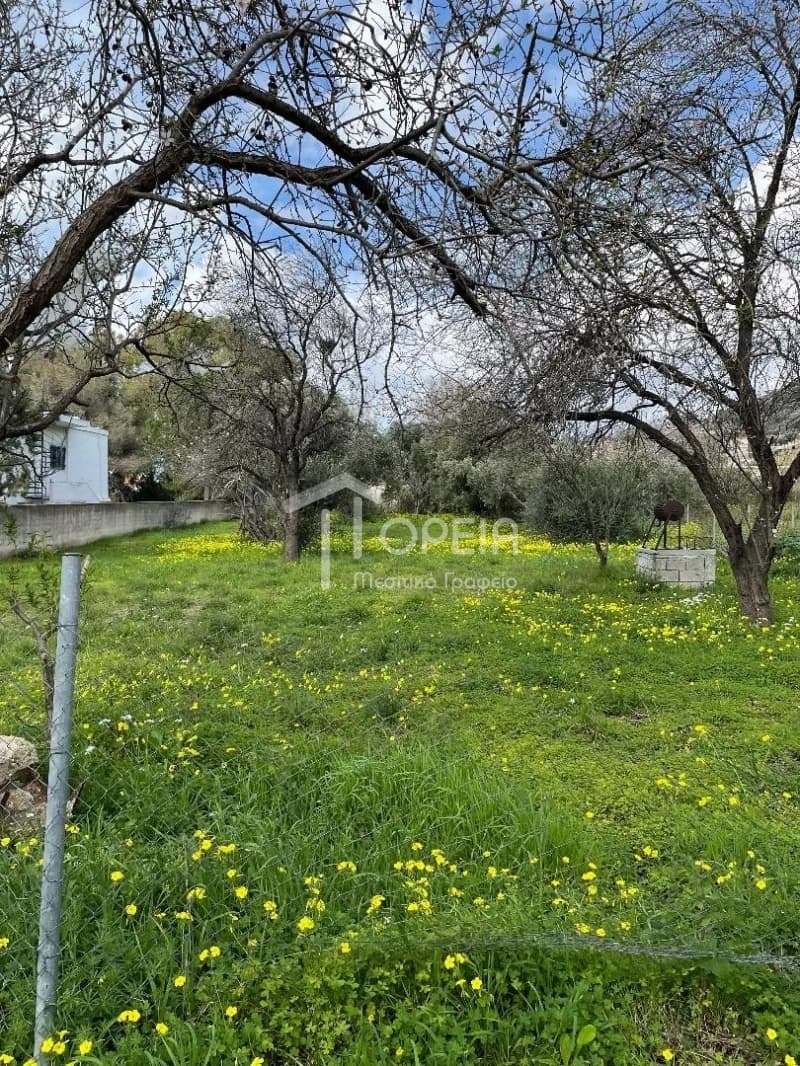 Οικόπεδο στην Καλύβια, Καλύβια Θορικού — Φωτογραφία 4 από 4
