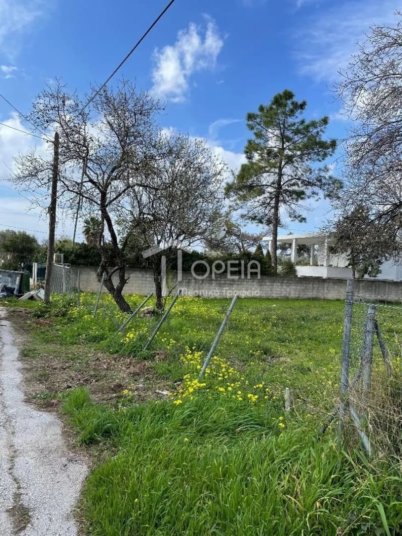 Οικόπεδο στην Καλύβια, Καλύβια Θορικού — Φωτογραφία 1 από 4