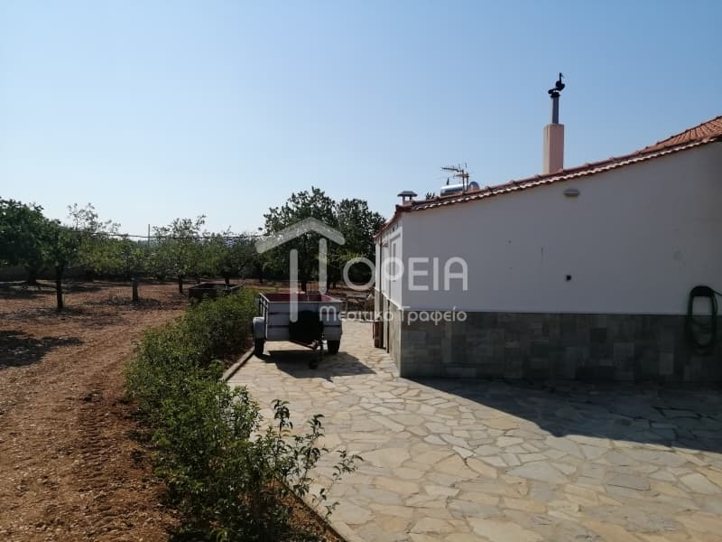 House in Kalivia, Kalivia Thorikou — Photo 13 of 25