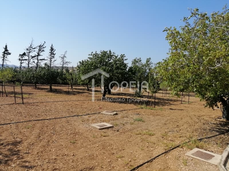 House in Kalivia, Kalivia Thorikou — Photo 20 of 25