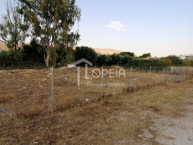 Οικόπεδο στην Καλύβια, Καλύβια Θορικού — Φωτογραφία 1 από 12