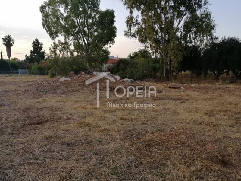 Οικόπεδο στην Καλύβια, Καλύβια Θορικού — Φωτογραφία 4 από 12