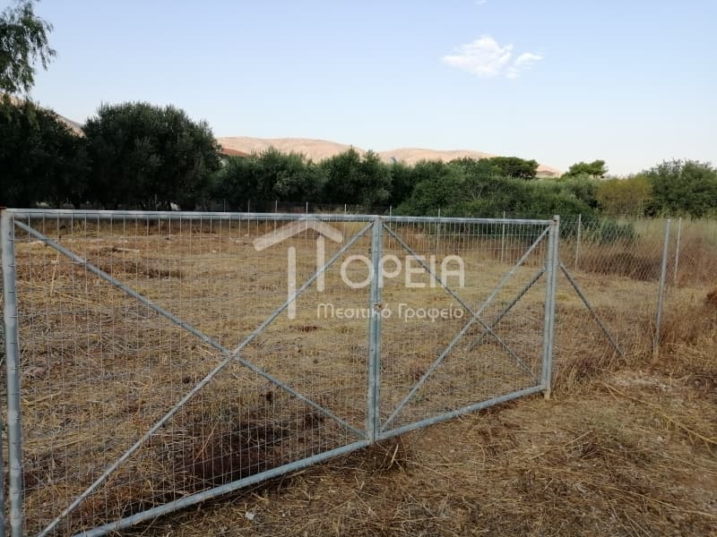 Οικόπεδο στην Καλύβια, Καλύβια Θορικού — Φωτογραφία 2 από 12