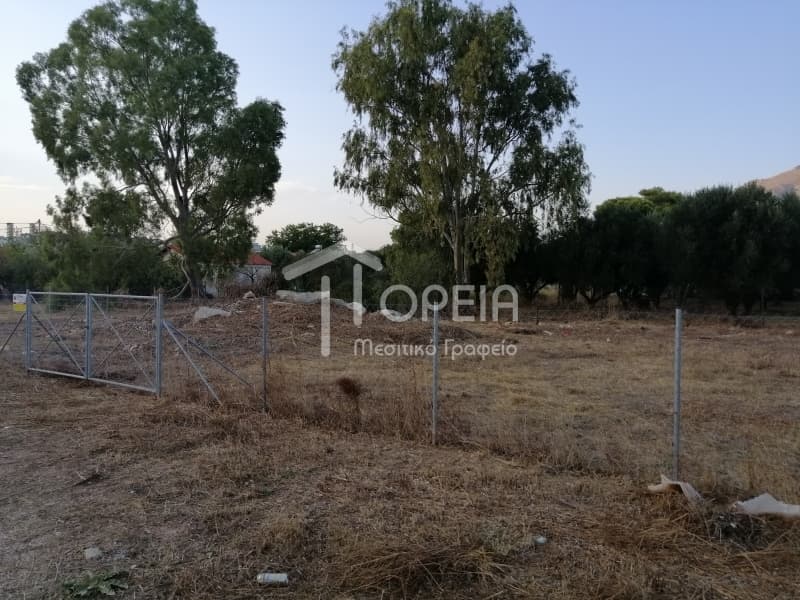 Οικόπεδο στην Καλύβια, Καλύβια Θορικού — Φωτογραφία 6 από 12