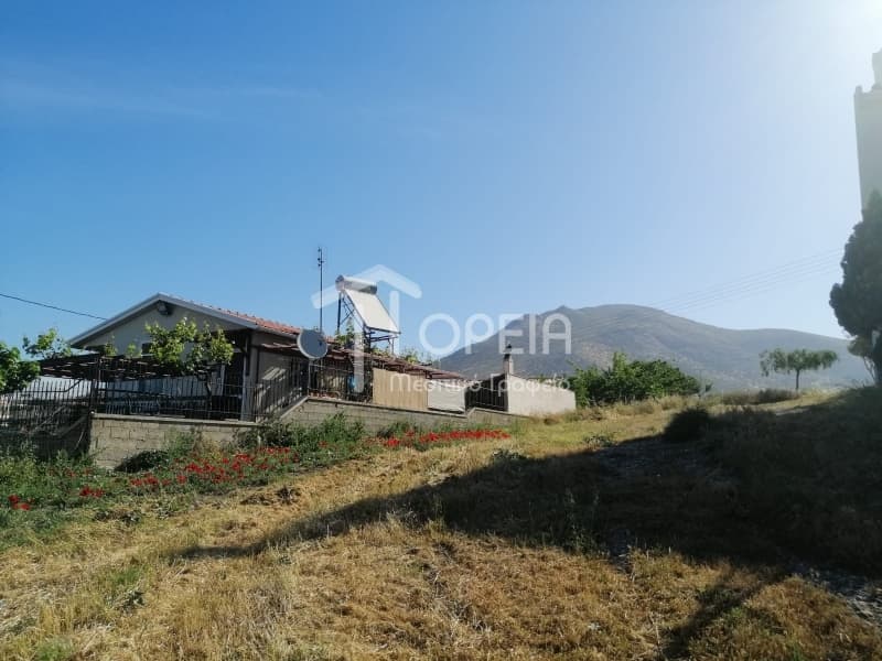 Οικόπεδο στην Καλύβια, Καλύβια Θορικού — Φωτογραφία 2 από 9