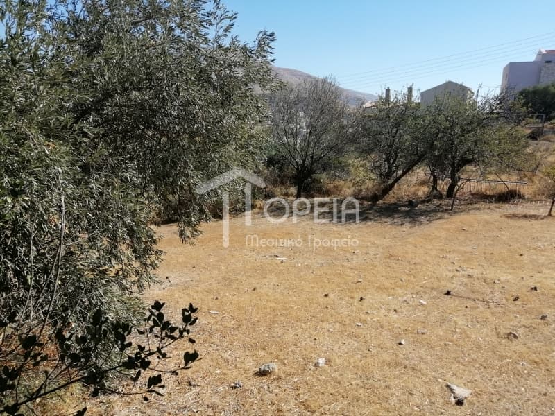 Οικόπεδο στην Καλύβια, Καλύβια Θορικού — Φωτογραφία 3 από 9
